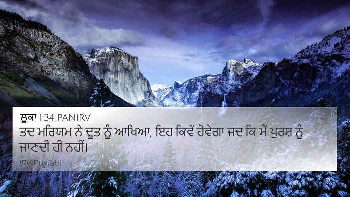 ਲੂਕਾ 1:34 PANIRV Bible Verse Image