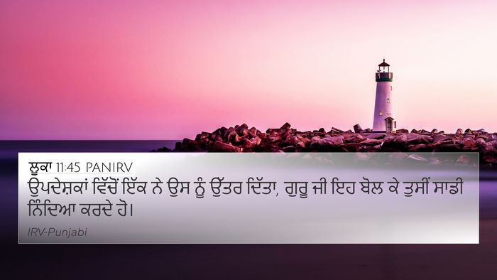 ਲੂਕਾ 11:45 PANIRV Bible Verse Image