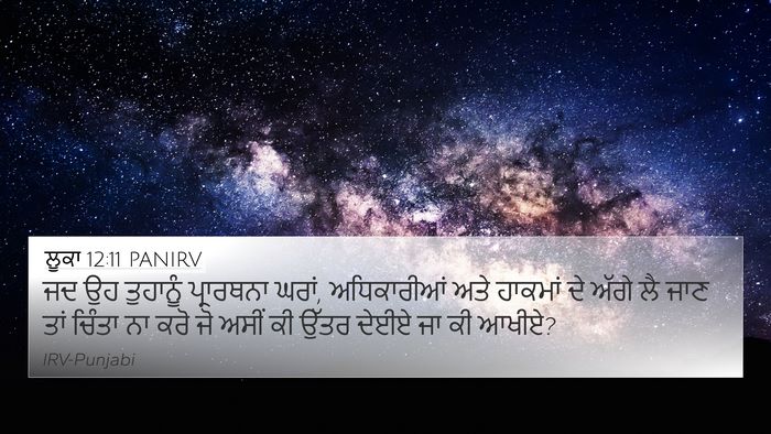 ਲੂਕਾ 12:11 PANIRV Bible Verse Image