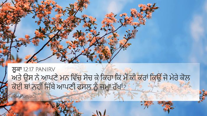 ਲੂਕਾ 12:17 PANIRV Bible Verse Image