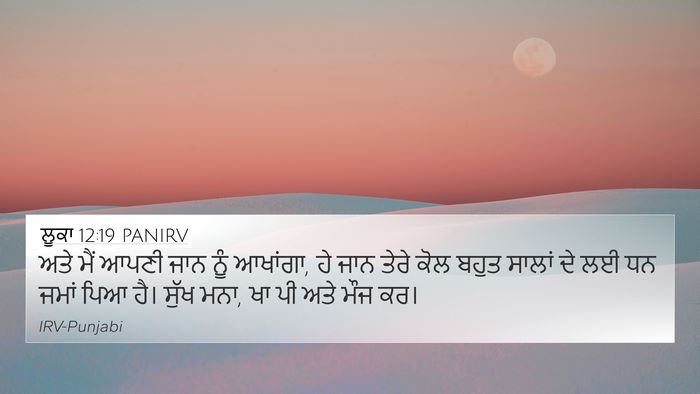 ਲੂਕਾ 12:19 PANIRV Bible Verse Image