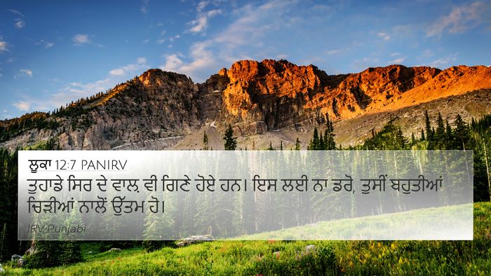 ਲੂਕਾ 12:7 PANIRV 4K Wallpaper - ਤੁਹਾਡੇ ਸਿਰ ਦੇ ਵਾਲ਼ - 4K Wallpaper Bible Verse
