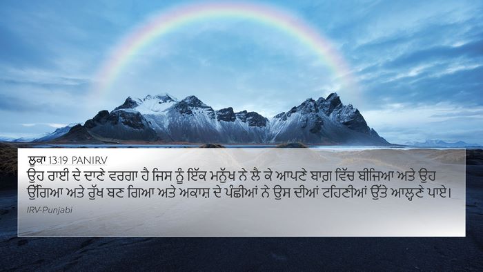 ਲੂਕਾ 13:19 PANIRV 4K Wallpaper - ਉਹ ਰਾਈ ਦੇ ਦਾਣੇ ਵਰਗਾ - 4K Wallpaper Bible Verse