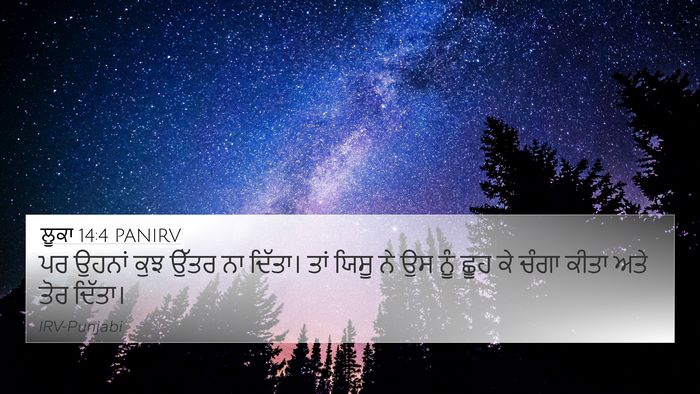ਲੂਕਾ 14:4 PANIRV 4K Wallpaper - ਪਰ ਉਹਨਾਂ ਕੁਝ ਉੱਤਰ - 4K Wallpaper Bible Verse