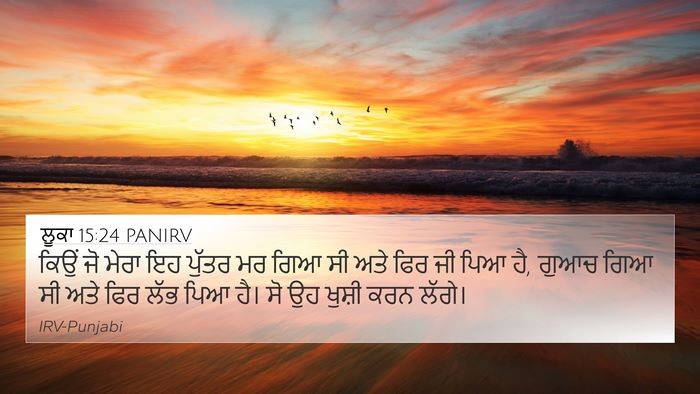 ਲੂਕਾ 15:24 PANIRV Bible Verse Image