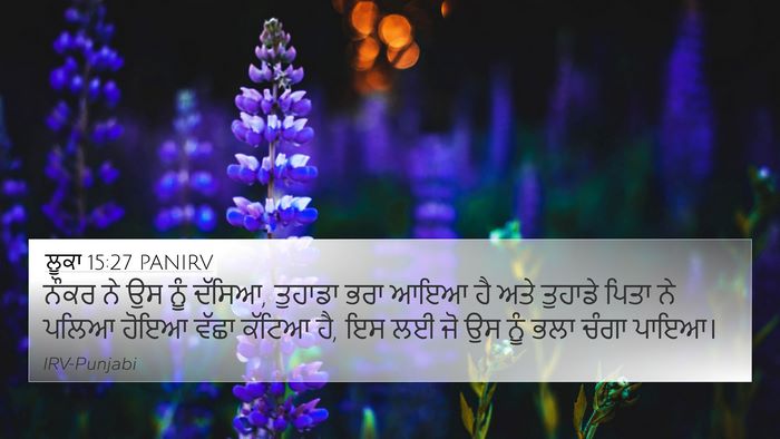 ਲੂਕਾ 15:27 PANIRV 4K Wallpaper - ਨੌਕਰ ਨੇ ਉਸ ਨੂੰ - 4K Wallpaper Bible Verse