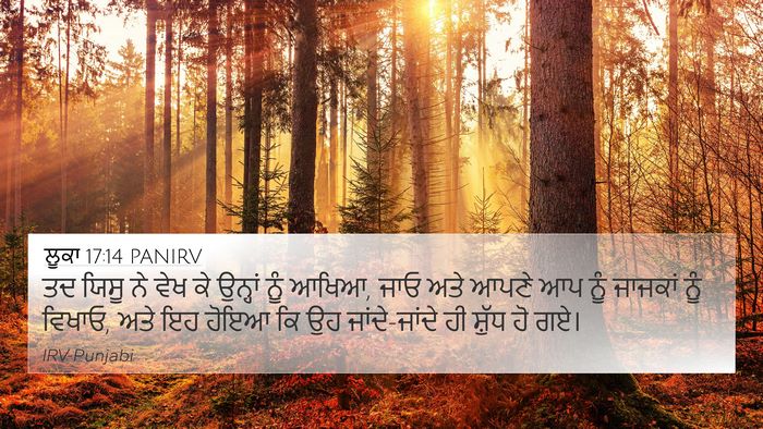 ਲੂਕਾ 17:14 PANIRV Bible Verse Image