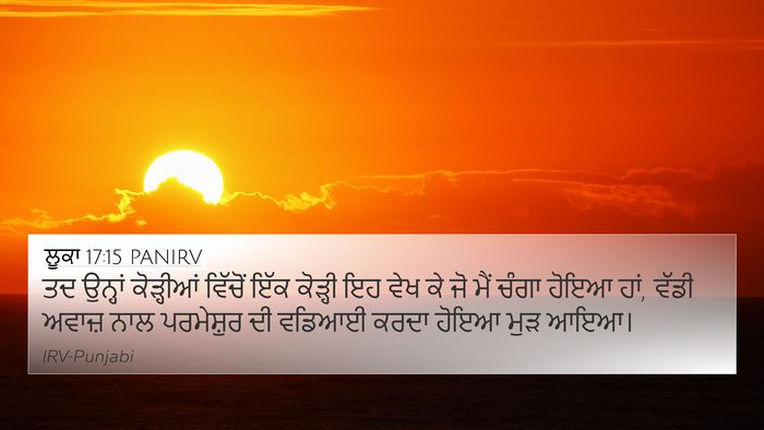 ਲੂਕਾ 17:15 PANIRV Bible Verse Image