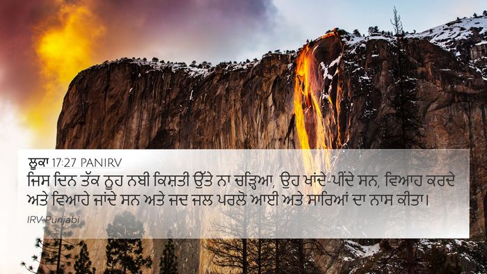 ਲੂਕਾ 17:27 PANIRV Bible Verse Image