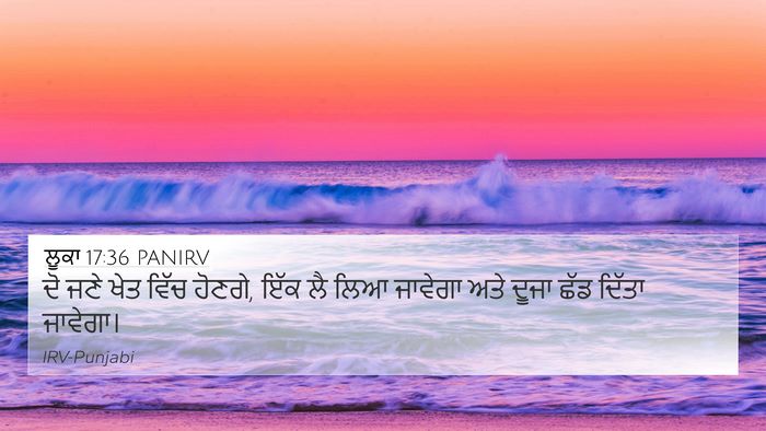 ਲੂਕਾ 17:36 PANIRV 4K Wallpaper - ਦੋ ਜਣੇ ਖੇਤ ਵਿੱਚ - 4K Wallpaper Bible Verse