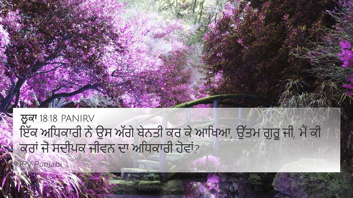 ਲੂਕਾ 18:18 PANIRV Bible Verse Image