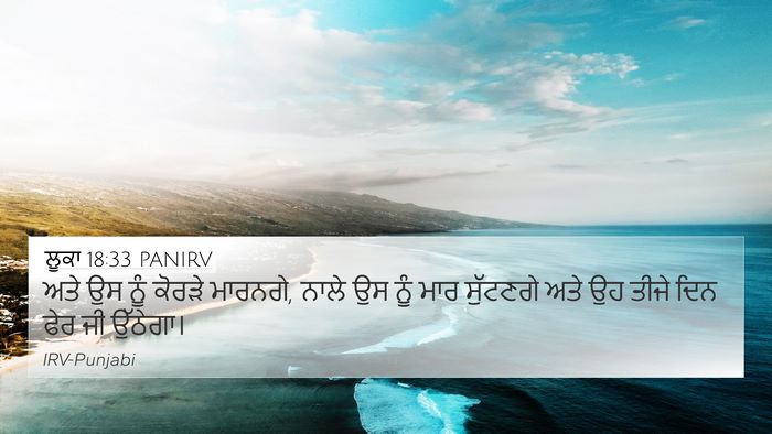 ਲੂਕਾ 18:33 PANIRV Bible Verse Image