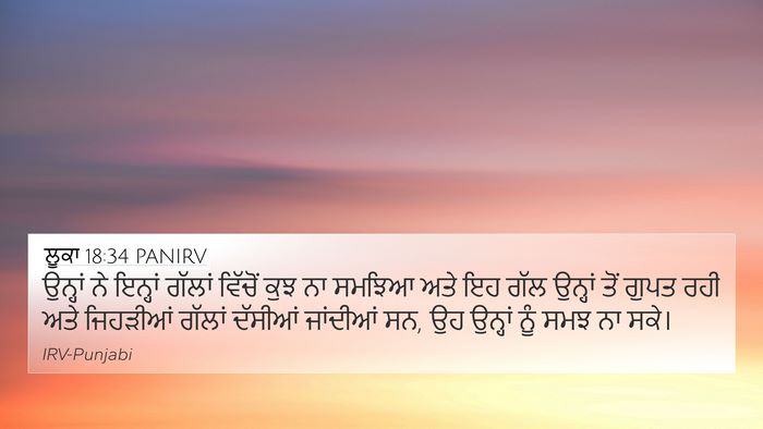 ਲੂਕਾ 18:34 PANIRV Bible Verse Image
