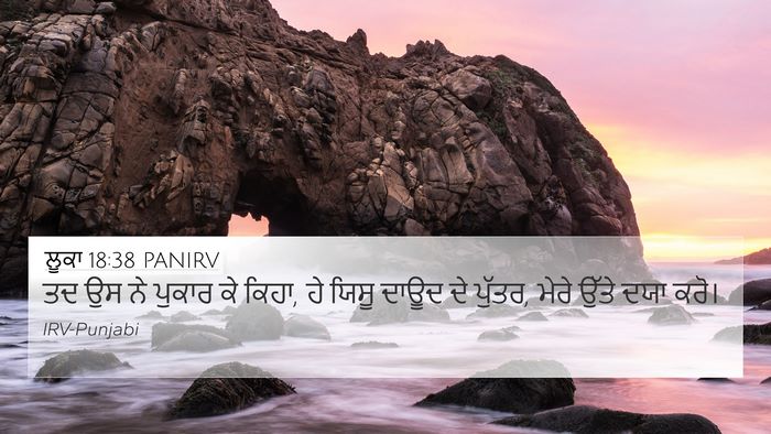 ਲੂਕਾ 18:38 PANIRV Bible Verse Image