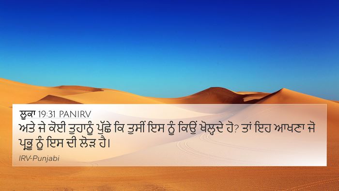 ਲੂਕਾ 19:31 PANIRV Bible Verse Image