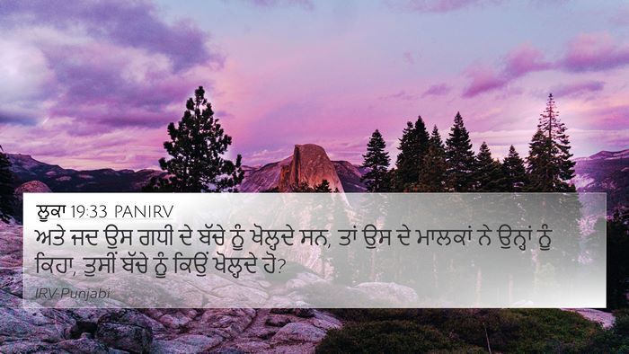 ਲੂਕਾ 19:33 PANIRV 4K Wallpaper - ਅਤੇ ਜਦ ਉਸ ਗਧੀ ਦੇ - 4K Wallpaper Bible Verse