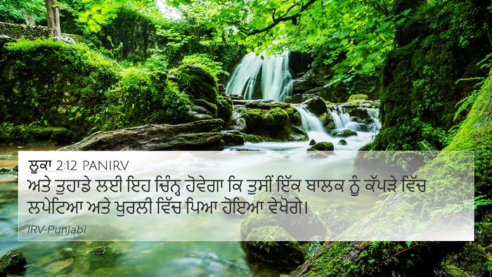 ਲੂਕਾ 2:12 PANIRV Bible Verse Image