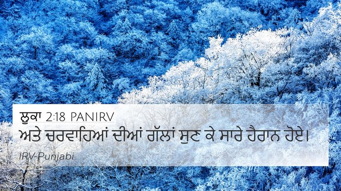 ਲੂਕਾ 2:18 PANIRV 4K Wallpaper - ਅਤੇ ਚਰਵਾਹਿਆਂ ਦੀਆਂ - 4K Wallpaper Bible Verse