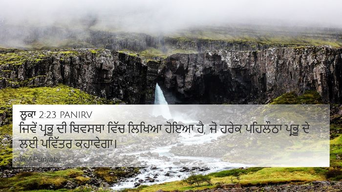 ਲੂਕਾ 2:23 PANIRV Bible Verse Image