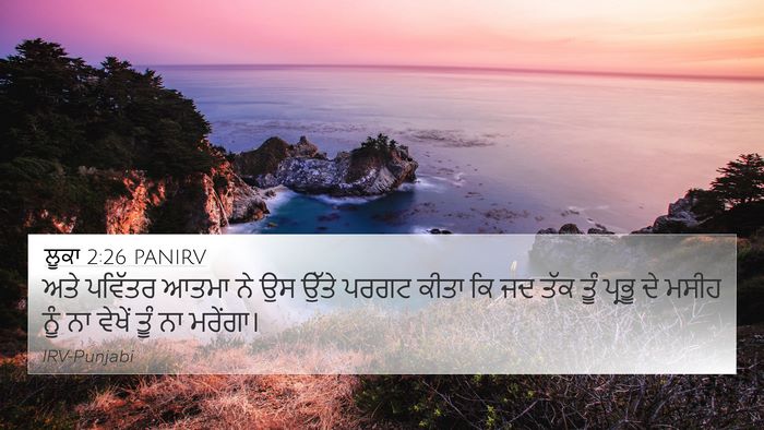 ਲੂਕਾ 2:26 PANIRV Bible Verse Image