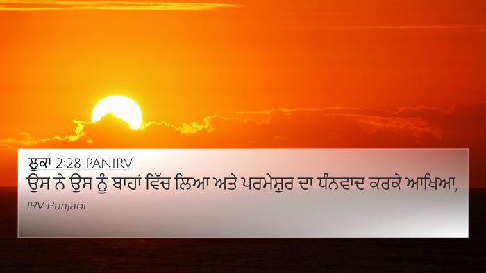 ਲੂਕਾ 2:28 PANIRV Bible Verse Image