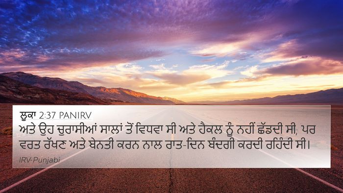 ਲੂਕਾ 2:37 PANIRV Bible Verse Image