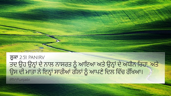 ਲੂਕਾ 2:51 PANIRV Bible Verse Image