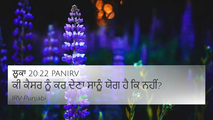 ਲੂਕਾ 20:22 PANIRV Bible Verse Image