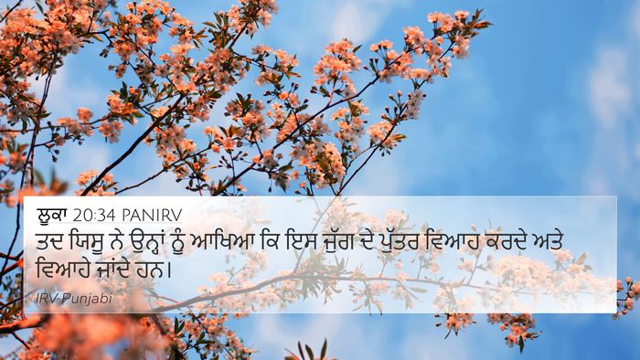 ਲੂਕਾ 20:34 PANIRV Bible Verse Image