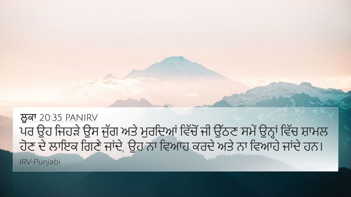 ਲੂਕਾ 20:35 PANIRV Bible Verse Image