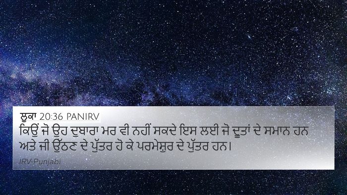 ਲੂਕਾ 20:36 PANIRV 4K Wallpaper - ਕਿਉਂ ਜੋ ਉਹ ਦੁਬਾਰਾ - 4K Wallpaper Bible Verse