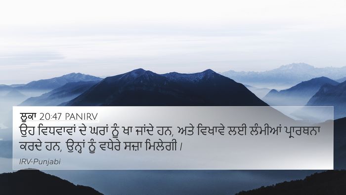 ਲੂਕਾ 20:47 PANIRV Bible Verse Image