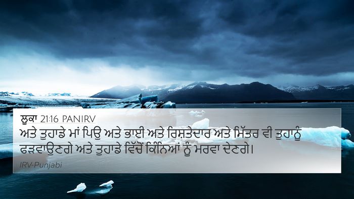 ਲੂਕਾ 21:16 PANIRV Bible Verse Image