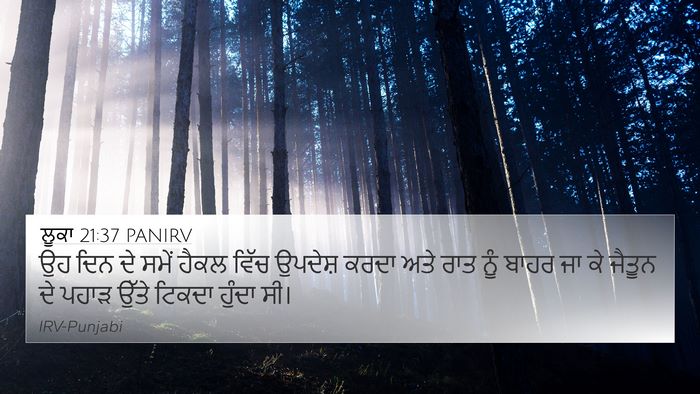 ਲੂਕਾ 21:37 PANIRV Bible Verse Image