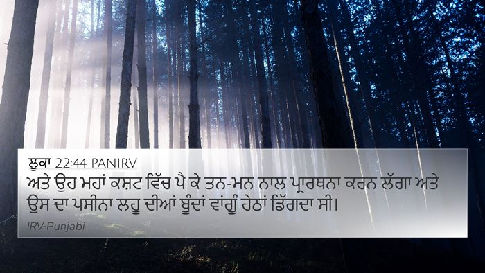 ਲੂਕਾ 22:44 PANIRV Bible Verse Image
