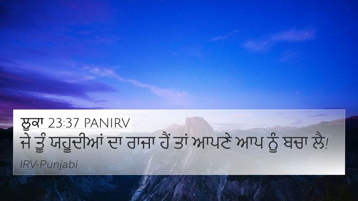 ਲੂਕਾ 23:37 PANIRV Bible Verse Image