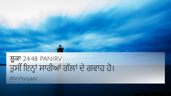 ਲੂਕਾ 24:48 PANIRV Bible Verse Image