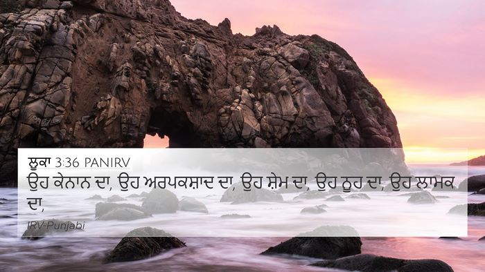 ਲੂਕਾ 3:36 PANIRV Bible Verse Image
