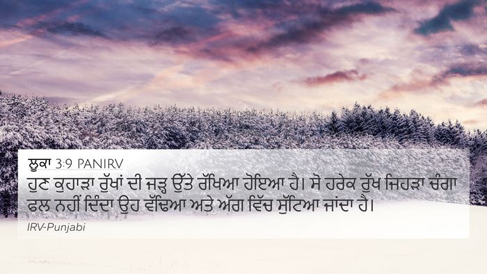 ਲੂਕਾ 3:9 PANIRV Bible Verse Image