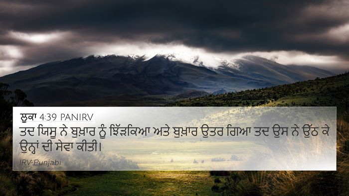 ਲੂਕਾ 4:39 PANIRV Bible Verse Image