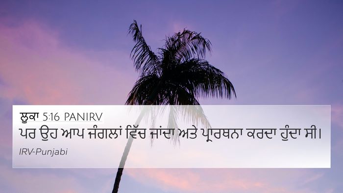 ਲੂਕਾ 5:16 PANIRV Bible Verse Image