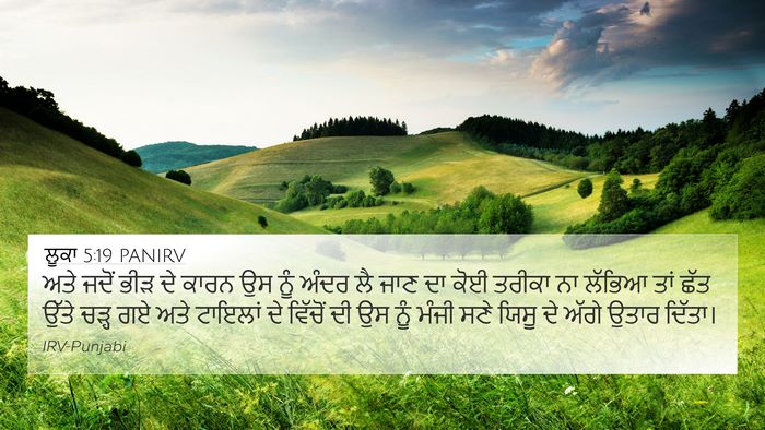 ਲੂਕਾ 5:19 PANIRV Bible Verse Image
