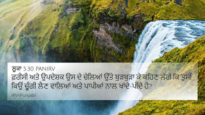 ਲੂਕਾ 5:30 PANIRV Bible Verse Image