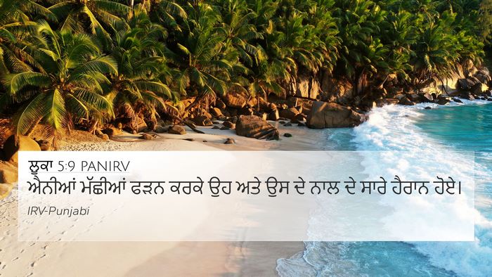 ਲੂਕਾ 5:9 PANIRV Bible Verse Image