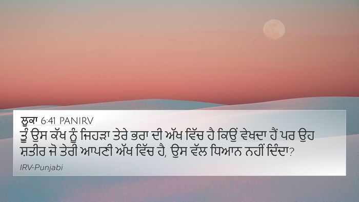 ਲੂਕਾ 6:41 PANIRV Bible Verse Image