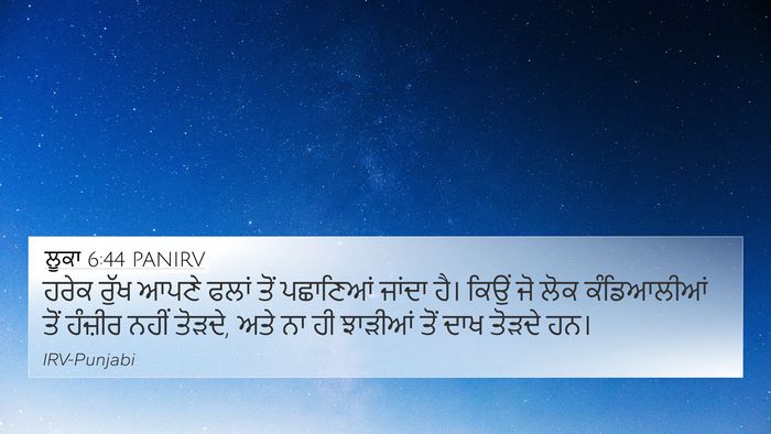 ਲੂਕਾ 6:44 PANIRV Bible Verse Image