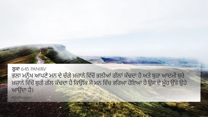ਲੂਕਾ 6:45 PANIRV Bible Verse Image