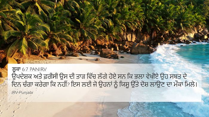 ਲੂਕਾ 6:7 PANIRV Bible Verse Image