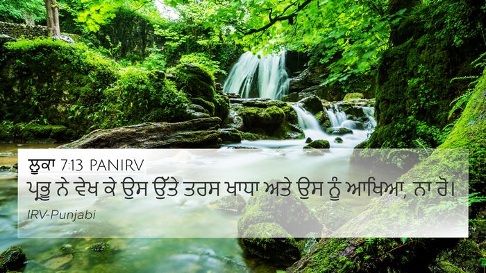 ਲੂਕਾ 7:13 PANIRV 4K Wallpaper - ਪ੍ਰਭੂ ਨੇ ਵੇਖ ਕੇ ਉਸ - 4K Wallpaper Bible Verse