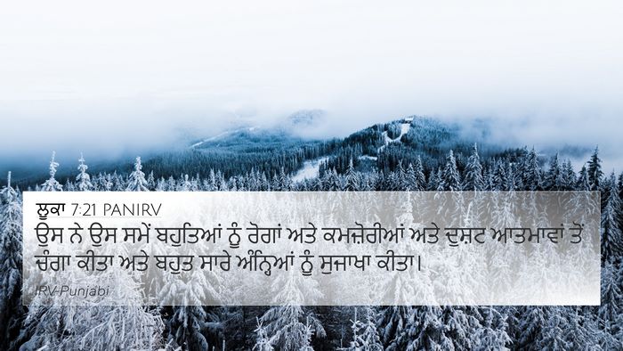 ਲੂਕਾ 7:21 PANIRV Bible Verse Image